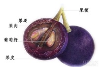 ѾƆΌϵĂf